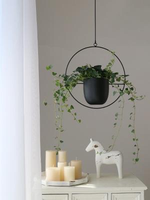 window wall ceiling hanging planters plant pot basket holder for vines succulents herbs