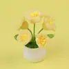 Girasol de Lana Transfronterizo en Maceta Flor de Lirio del Valle Nomeolvides Tulipán Adorno de Flor Artificial Temporada Escolar Regalo para Maestro