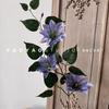 3 Rattan Clematis Natural alta qualidade Decoração de Casa Flor Artificial Espaço Bonito Decoração Suave Flor de Paisagem Arte em Flor