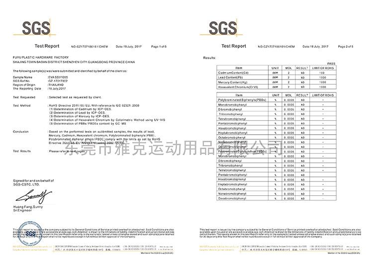 SGS-02.jpg