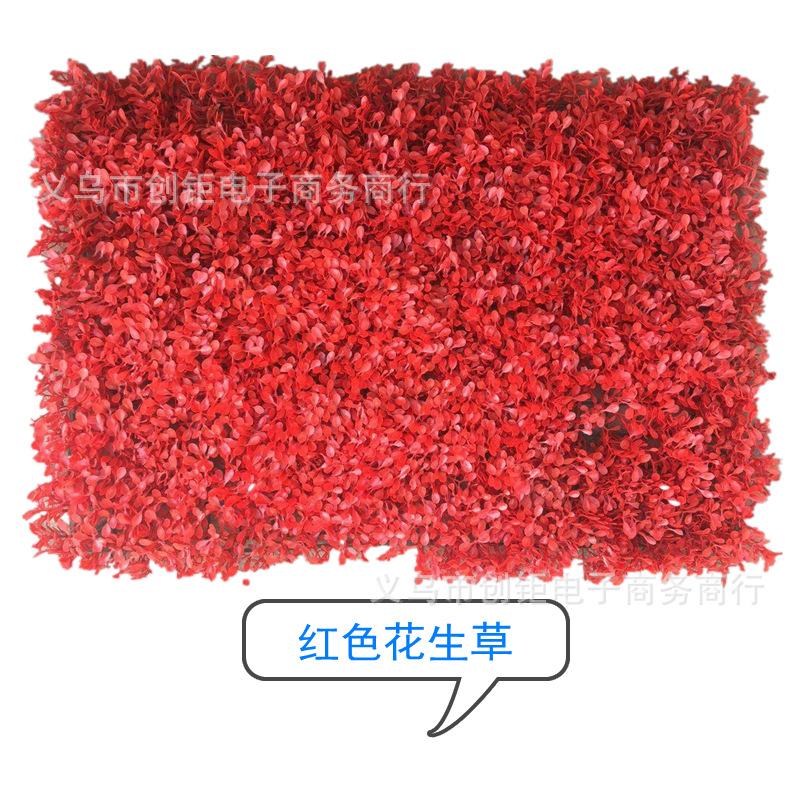 QQ图片20190227123213_副本.png