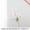 6 flores artificiais de prímula para sala de jantar e escritório, decoração floral com hastes graciosas e elegantes, exalando uma atmosfera suave e tranquila