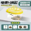 Aquário de Tartaruga com Plataforma para Tomar Sol Aquário de Tartaruga de Plástico para Uso Doméstico Tartaruga de Estimação Caixa Doméstica Pequena Portátil com Tampa Recipiente de Criação