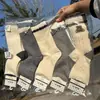 Nuevos Accesorios de Otoño e Invierno Engrosados para Mujer Calcetines Holgados de Lana de Alpaca, Calcetines Largos de Tubo Cálidos de Estilo Coreano y Japonés de Moda