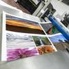 Poster Adesivo Interno Jato de Tinta Foto Promocional Externo Publicidade Personalizada Produção Pintura Publicitária