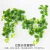Enredadera Parthenocissus Uva Hoja de Vid Verde Pegada con Goma Decoración de Vid Falsa para Enrollar Tubería Enredadera Verde Plantas Verdes Plantas de Hojas Verdes
