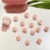 Acessórios para Nail Art Celebridade da Internet Rosa Nova Rosa Misturados Acessórios para Unhas Desejo Puro Acessórios para Unha do Orelha DIY