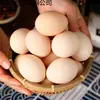 Huevos de Corral, Huevos Frescos de Campo, Huevos Tradicionales, Huevos de Gallina, Huevos sin Insectos, 20 Piezas, 800g, Bosque de Montaña