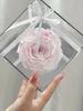 Regalo de Empresa Directo de Fábrica Regalo del Día del Maestro para la Mejor Amiga de la Novia del Maestro Regalo de Cumpleaños Flor Eterna Rosa Gigante