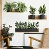 Adesivos de Parede Autoadesivos Criativos 3D de Planta Verde Vasos Sala de Estar Estante Layout Adesivos Decorativos BR0419C