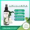 Fertilizante para Árvore da Fortuna, Fertilizante Especial, Solução Nutritiva Fertilizante para Flores Suplementadora de Água e Revitalizante para Prevenir Folhas Amareladas, Queda de Folhas e Podridão das Raízes