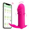 Controle Remoto por App Ovo Saltitante Vibração Anal de Back Court Plug Sexo Feminino Brinquedos Adultos no Corpo e Usando por Fora Cis