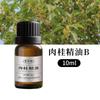 Extrato de Planta Natural Canela Óleo Essencial Simples Grau Aromaterapia Aromaterapia Massagem Spa Produto para Cuidados com a Pele do Corpo Matérias-Primas Atacado