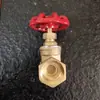 Válvula de Gaveta Latão Boulder Rosqueada Tubo de Água Válvula Torneira de Água Rosqueada Interruptor Principal Válvula Antes do Medidor Manual
