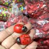 Diy Micro Paisagem Musgo Suculento Pequenos Ornamentos Besouro de Madeira Simulação Coccinella septempunctata Postagem Pequeno Besouro