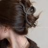 Pinza de garra grande, pinza de tiburón de alta calidad, otoño e invierno, diseño Maillard de alta calidad, horquilla para la parte posterior de la cabeza, accesorios para el cabello