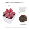 Más de 100 Tipos de Combinaciones de Plantas Suculentas Artificiales en Maceta Mini, Ventas Transfronterizas Populares, Estilo Sencillo Decoración del Hogar Flores Artificiales y Plantas Verdes, Directo de la Fábrica Fuente