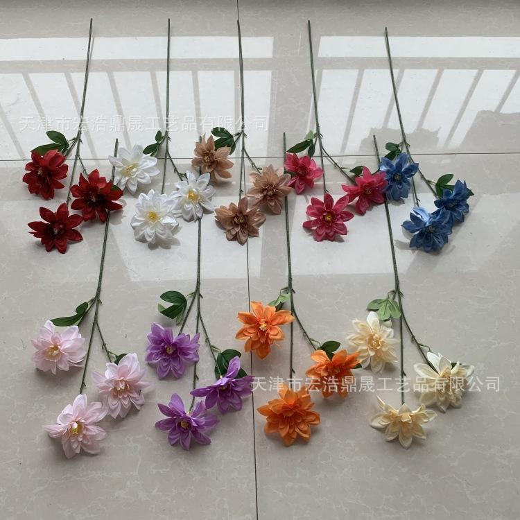 3头大丽花色卡
