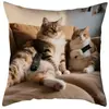 Funda de Cojín para Sofá Transfronteriza, Felpa Corta Amigable con la Piel, Linda Funda de Cojín de Animal Gato, Funda de Cojín para Sala de Estar, No Incluye Relleno
