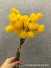 Fruta de castaña de simulación flor de bola espinosa planta fruta accesorios de decoración del hogar nórdico diente de león clavel agujas de pino bola de cebolla