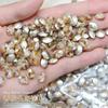 Venta al por mayor Celebridad de Internet Manicura Champagne Joyería de Diamantes Súper Brillante Maillard Rectangular Gota de Agua Diamante de Uña Forma Especial Punta Inferior