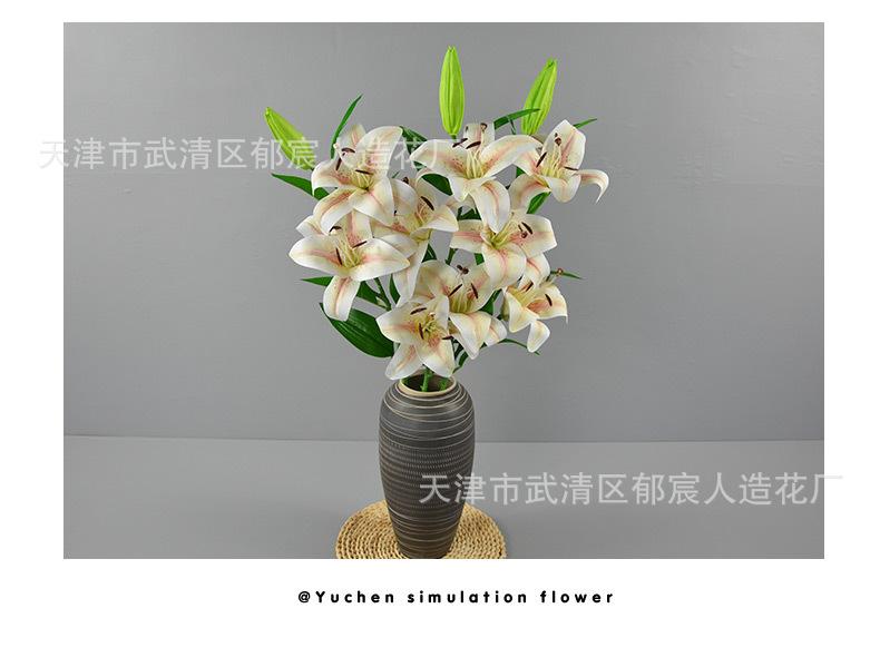 详情_13.jpg