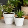 Mini Macetas, Exquisitas Macetas para Suculentas, Pequeñas Macetas para Plantas de Interior, Macetas Pequeñas de Plástico Modernas No Porosas