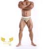 Estoque de fábrica novo cueca masculina algodão cintura baixa sexy listras finas triângulo cueca masculina atacado transfronteiriço