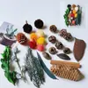 Fruta Fixa Natural Planta Fruta Casca Espécime Material Decoração Flores Secas Fatias Jardim de Infância DIY Pacote de Material de Natal