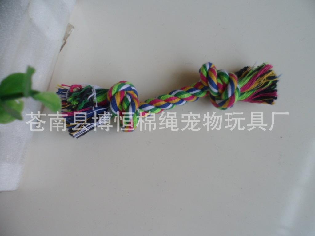 SAM_2030