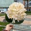 Comercio exterior color champán simulación rosa fabricantes champán crema hortensia camino de boda plomo flores falsas suaves venta al por mayor