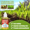 Yegbong Nutrición Vegetal Plantas Flores Siembra Frutas y Verduras Macetas Enraizamiento Fertilizante Concentrado Solución Nutritiva Universal