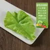 Modelo de vegetal de simulação PU pimenta alface repolho chinês berinjela cebola cogumelo brócolis modelo de adereços decoração de sala