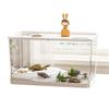 Aquário de Peixe de Plástico para Desktop com Tampa Tanque Ecológico Tanque de Tartaruga Sala de Estar Doméstica Transparente Pequeno Tanque de Peixe para Paisagismo de Mesa