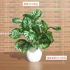 Planta de Simulación Set de Plantas Verdes Adornos Pequeños de Maceta Potos Decoración de Mesa de Comedor Interior Flor Artificial de Plástico Flor de Simulación Sala de Estar