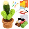 Paquete de Materiales de Crochet Más Vendido de Amazon Serie de Plantas Adornos de Flores en Maceta Regalos Soporte Dropshipping