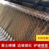 Malla de alambre para hidrosiembra de capa superior de Chengdu malla de alambre para enverdecimiento Red colgante para shotcrete de Sichuan Valla de malla de alambre galvanizado Anclaje por pulverización
