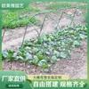 Hengyuan Marca de Horticultura Estufa Quente Suporte para Flores Esqueleto de Estufa de Plantio Isolamento Térmico Carnudas Varanda Antichuva Estufa Casa de Flores Vegetais