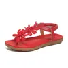 Sandálias de Comércio Exterior Novo Estilo 2025 Primavera e Verão Sapatos Femininos Sandálias Cor Pura Chinelos Rasteirinhas Sandálias Femininas Sandálias Tamanho Grande para Mulheres
