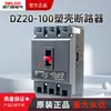 Interruptor de Caja Moldeada Delixi Dz20-100 Interruptor de Aire 100A Protección contra Sobrecarga para Prevenir Electrocución