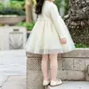 Vestido de primavera y otoño para niñas, ropa infantil elegante y a la moda, retazos de malla estilo coreano, vestido súper de princesa de hadas