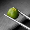 Palitos de Aço Inoxidável 304 de Grau Alimentício Domésticos Antiderrapantes, Antimofo, Resistentes a Altas Temperaturas e Antibacterianos Fixador de Ferro Metálico Conjunto de Talheres
