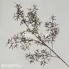Flores Artificiales, Flores Secas Estilo Wabi-Sabi, Hojas Secas, Frutos de Pipa, Hortensias de Borde Tostado, Materiales Florales Vintage, Frutos de Espino Marítimo, Decoraciones de Mesa, Flores de Seda