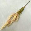 Reed e Pu Spike Atmosfera Layout Simulação Suprimentos para Flores Decoração para Casa Simulação Planta Simulação Planta Verde Atacado