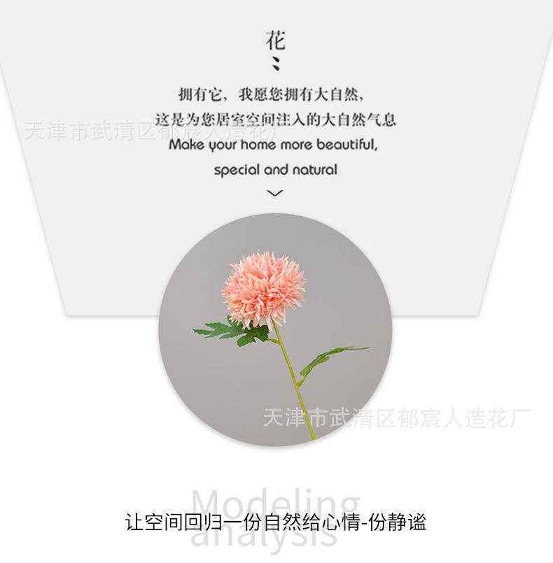 详情_07.png