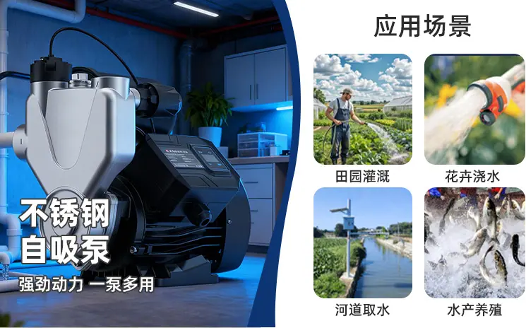 画板 4.png