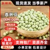 Nuevo Stock de Guisantes Verdes Secos al por Mayor, Ingredientes para Fideos de Frijol de Chongqing, Guisantes Secos Cultivados en Granja al por Mayor