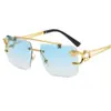 Gafas de Sol Redondas con Borde Cortado Doble Puente Cabeza de Leopardo para Hombres y Mujeres Gafas de Sol Anti-UV Gafas de Sol de Moda para Hombres Gama Alta
