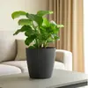 Fornecimento Exclusivo Transfronteiriço de Vasos de Flores de Plástico para Desktop, Diâmetro Grande, Simples e Espessados, Estilo Nórdico, Multicor, Adequado para Cultivar Plantas Verdes