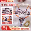 Conjunto de Sujetador Sexy de Malla Transparente para Mujer, Estilo Nuevo Transfronterizo, Moda Francesa, Bloques de Color, Bordado Floral, Patchwork, En Stock